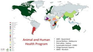 No food security without food safety: Lessons from low- and middle-income countries