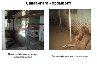 Санаачлага - оромдолт




Сэлэнгэ, Мандал сум, мал
    нядалгааны төв         Эмээлтийн мал нядалгааны цэг
 