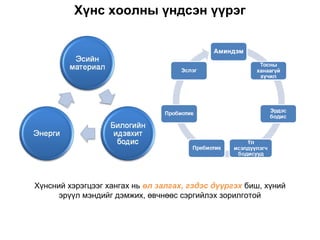 Хүнс хоолны үндсэн үүрэг




Хүнсний хэрэгцээг хангах нь өл залгах, гэдэс дүүргэх биш, хүний
      эрүүл мэндийг дэмжих, өвчнөөс сэргийлэх зорилготой
 