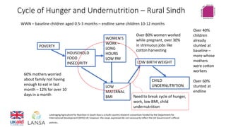 Cycle of Hunger and Undernutrition – Rural Sindh
Leveraging Agriculture for Nutrition in South Asia is a multi-country res...