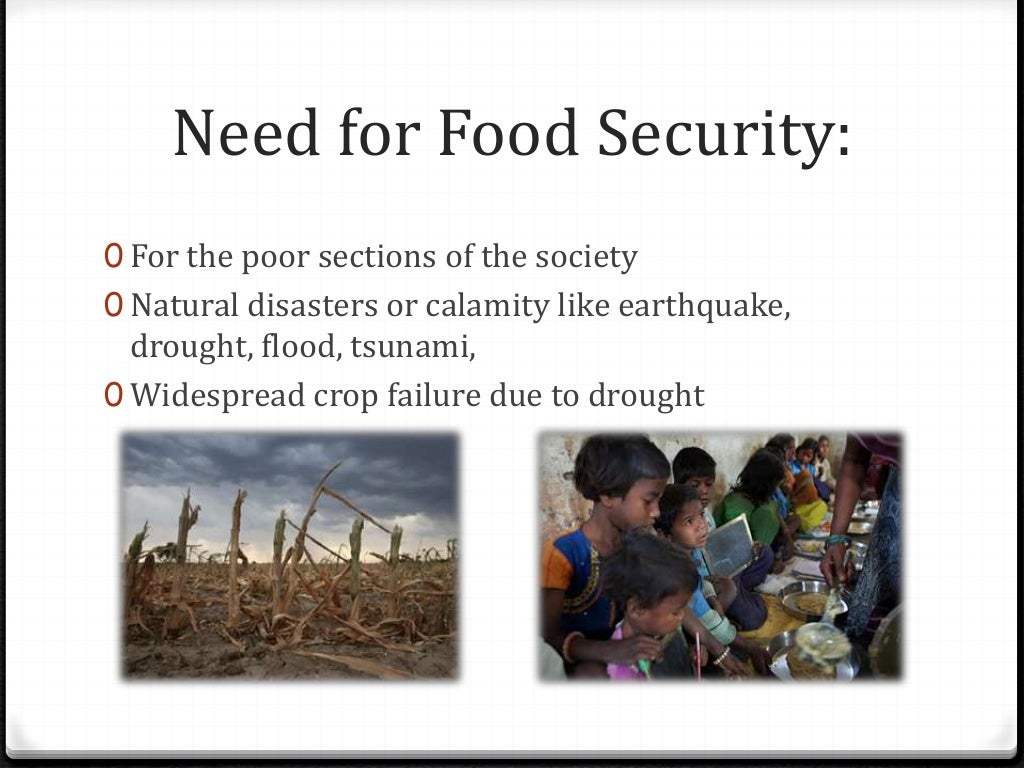 Food security in india eco class 9th