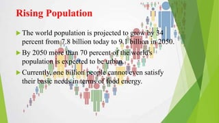  The world population is projected to grow by 34
percent from 7.8 billion today to 9.1 billion in 2050.
 By 2050 more than 70 percent of the world's
population is expected to be urban.
 Currently, one billion people cannot even satisfy
their basic needs in terms of food energy.
Rising Population
 