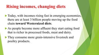 Rising incomes, changing diets
 Today, with incomes rising fast in emerging economies,
there are at least 3 billion people moving up the food
chain toward Westernized diets.
 As people become more affluent they start eating food
that is richer in processed foods, meat and dairy.
 They consume more grain-intensive livestock and
poultry products.
 