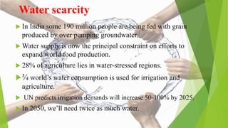 Water scarcity
 In India some 190 million people are being fed with grain
produced by over pumping groundwater.
 Water supply is now the principal constraint on efforts to
expand world food production.
 28% of agriculture lies in water-stressed regions.
¾ world’s water consumption is used for irrigation and
agriculture.
 UN predicts irrigation demands will increase 50-100% by 2025.
 In 2050, we’ll need twice as much water.
 