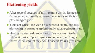 Flattening yields
 After several decades of raising grain yields, farmers in
the more agriculturally advanced countries are facing a
plateauing of yields.
 Yields of wheat, the world’s other food staple, are also
plateauing in the more agriculturally advanced countries.
 Having maximized productivity, farmers ran into the
inherent limits of photosynthesis and could no longer
increase the amount they could harvest from a given plot.
 