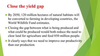Close the yield gap
 By 2050, 120 million hectares of natural habitats will
be converted to farming in developing countries, the
World Wildlife Fund estimates.
 Closing the gap between what is being produced and
what could be produced would both reduce the need to
clear land for agriculture and feed 850 million people.
 It clearly says that we need to improve our productivity
than our production.
 