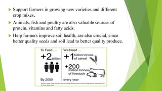  Support farmers in growing new varieties and different
crop mixes.
 Animals, fish and poultry are also valuable sources of
protein, vitamins and fatty acids.
 Help farmers improve soil health, are also crucial, since
better quality seeds and soil lead to better quality produce.
 