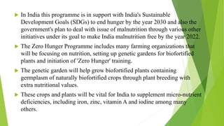  In India this programme is in support with India's Sustainable
Development Goals (SDGs) to end hunger by the year 2030 and also the
government's plan to deal with issue of malnutrition through various other
initiatives under its goal to make India malnutrition free by the year 2022.
 The Zero Hunger Programme includes many farming organizations that
will be focusing on nutrition, setting up genetic gardens for biofortified
plants and initiation of 'Zero Hunger' training.
 The genetic garden will help grow biofortified plants containing
germplasm of naturally biofortified crops through plant breeding with
extra nutritional values.
 These crops and plants will be vital for India to supplement micro-nutrient
deficiencies, including iron, zinc, vitamin A and iodine among many
others.
 