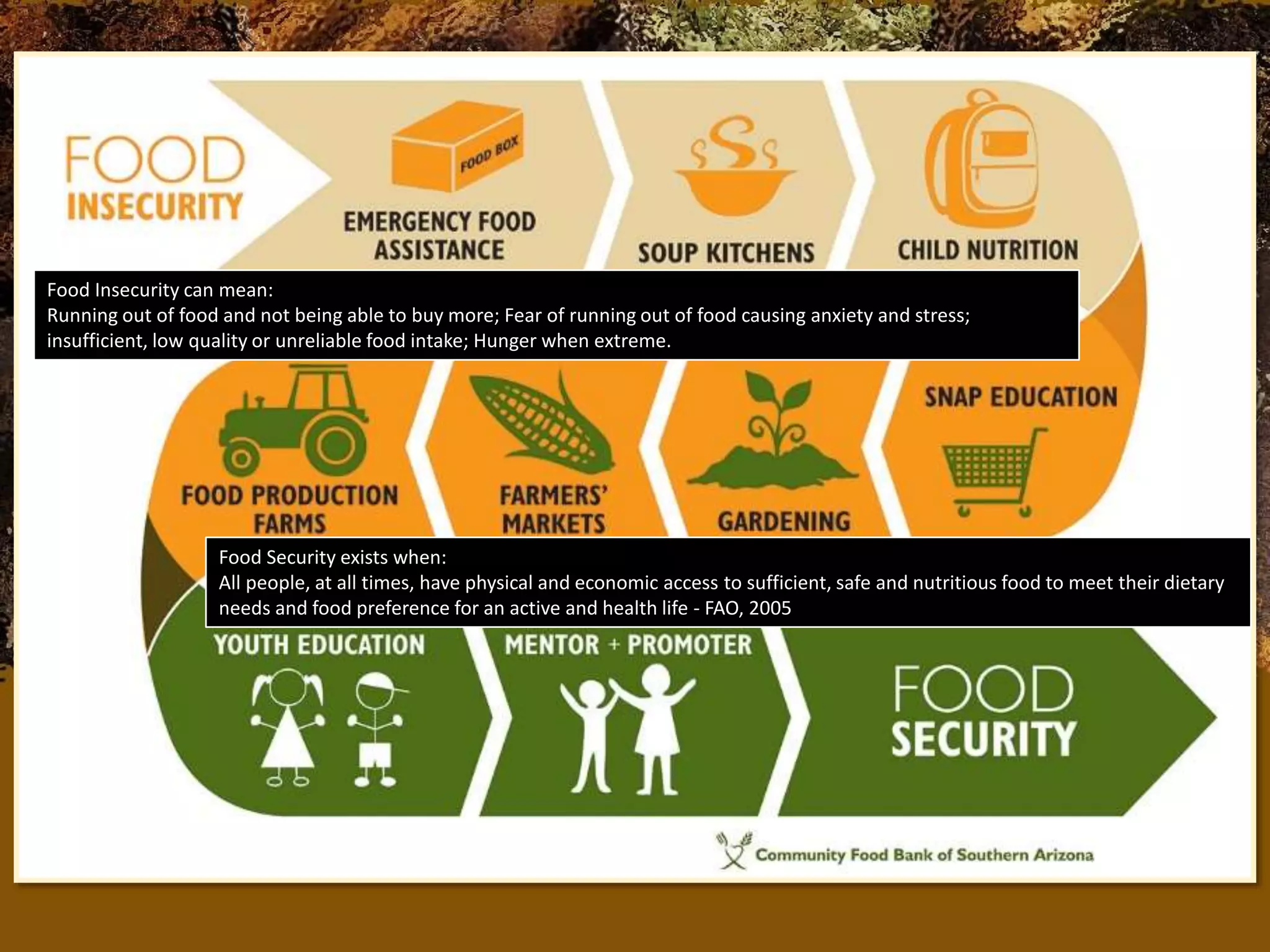 Wht Is Food Security Food Security | PPSX