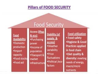 Pill
Pillars of FOOD SECURITY
 