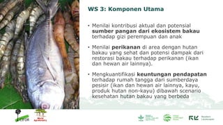 Workstream 3: Food security, nutrition, and livelihoods