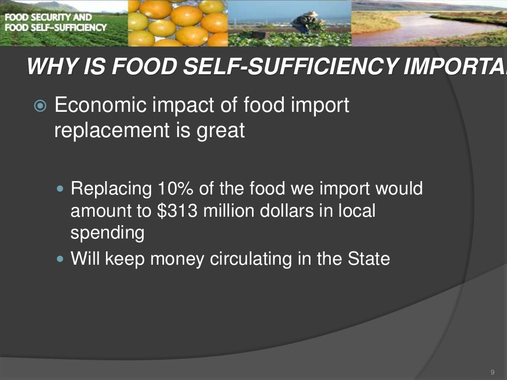 WHY IS FOOD SELFSUFFICIENCY IMPORTAN