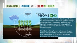Sustainable Farming with Clean Nitrogen
January 2023. © Xeraya Capital.
12
Source: https://www.pivotbio.com/product-proven
Farmers rely heavily on synthetic nitrogen fertilizers
for their crops. Without the use of synthetic nitrogen,
half of the world’s food supply would not exist.
Synthetic nitrogen, however, is causing 2% of
greenhouse emissions while depriving the air of
natural nitrogen.
Pivot Bio is helping farmers to improve nitrogen
fixation in crops with the use of specific microbes,
effectively making crops be more productive,
profitable, and sustainable.
Credit: Pivot Bio