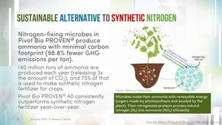 Sustainable Alternative to Synthetic Nitrogen
Nitrogen-fixing microbes in
Pivot Bio PROVEN® produce
ammonia with minimal carbon
footprint (98.8% fewer GHG
emissions per ton).
140 million tons of ammonia are
produced each year (releasing 3x
the amount of CO2), and 75% of that
is used to make synthetic nitrogen
fertilizer for crops.
Pivot Bio PROVEN® 40 consistently
outperforms synthetic nitrogen
fertilizer year-over-year.
Source: https://blog.pivotbio.com/98-cleaner-corn
Credit: Nefronus (Wikipedia)
January 2023. © Xeraya Capital.
13
Microbes make their ammonia with renewable energy
(sugars made by photosynthesis and exuded by the
plant). Their nitrogenase proteins process natural
nitrogen (N2) into ammonia (NH3) efficiently.