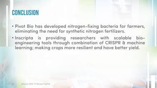 • Pivot Bio has developed nitrogen-fixing bacteria for farmers,
eliminating the need for synthetic nitrogen fertilizers.
• Inscripta is providing researchers with scalable bio-
engineering tools through combination of CRISPR & machine
learning; making crops more resilient and have better yield.
Conclusion
January 2023. © Xeraya Capital.
18