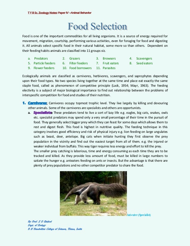 importance of animal behavior essay Order instructions general psychology identify 3-4 key principles that govern human and animal behavior claudia, new zealand essay the importance of. importance of animal behavior essay Order instructions general psychology identify 3-4 key principles that govern human and animal behavior claudia, new zealand essay the importance of.