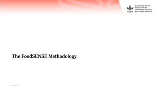 FoodSENSE - A decision support framework for nutrition and food security interventions