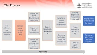 FoodSENSE - A decision support framework for nutrition and food security interventions