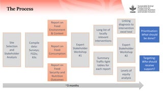 FoodSENSE - A decision support framework for nutrition and food security interventions