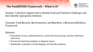 FoodSENSE - A decision support framework for nutrition and food security interventions