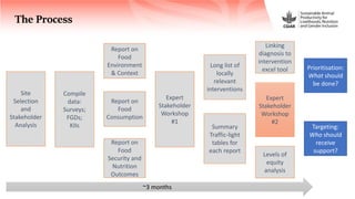 FoodSENSE - A decision support framework for nutrition and food security interventions