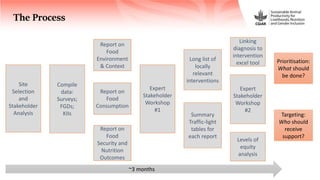 FoodSENSE - A decision support framework for nutrition and food security interventions