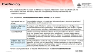 FoodSENSE - A decision support framework for nutrition and food security interventions