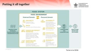 FoodSENSE - A decision support framework for nutrition and food security interventions