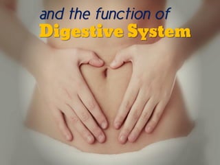and the function of
Digestive System
 