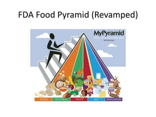 FDA Food Pyramid (Revamped) 