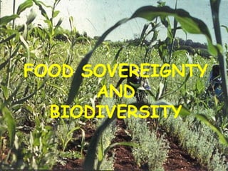 FOOD SOVEREIGNTY
AND
BIODIVERSITY
 