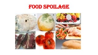 Food spoilage
 