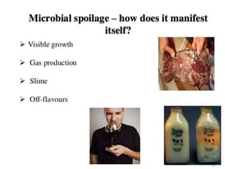 food spoilage.pptx