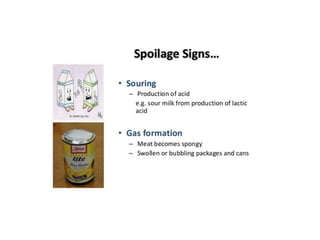 food spoilage.pptx