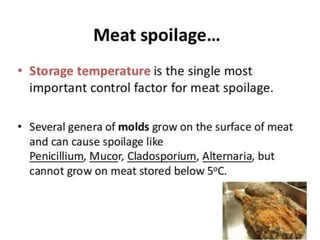 food spoilage.pptx