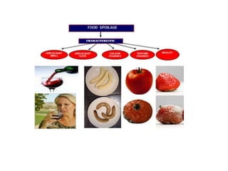 food spoilage.pptx