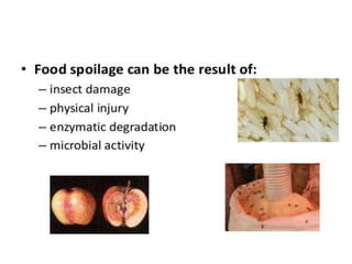 food spoilage.pptx