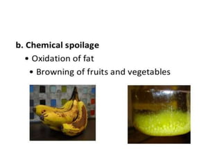 food spoilage.pptx