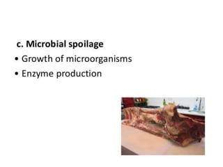 food spoilage.pptx