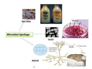 food spoilage.pptx