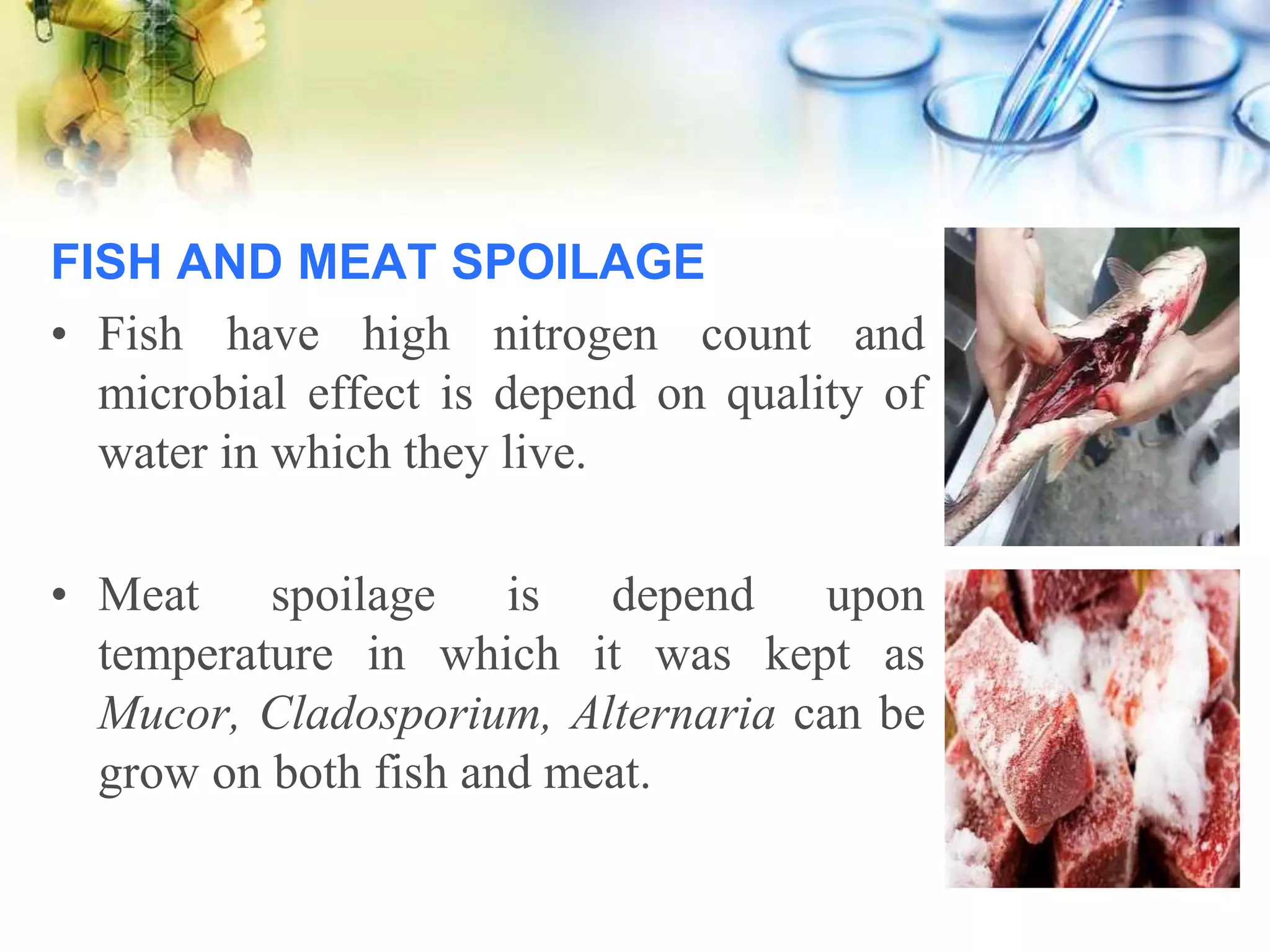 Food spoilage & food borne infection | PPTX
