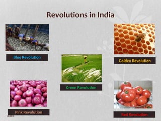 Revolutions in India
Green Revolution
Pink Revolution
Red Revolution
Golden Revolution
Blue Revolution
1/6/2018 42
 