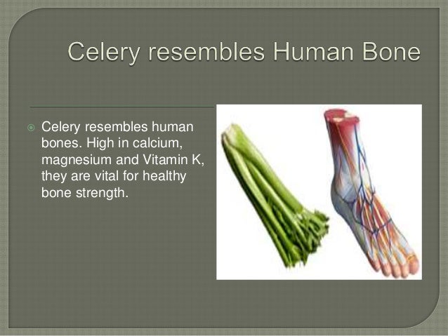 Foods Good For Weak Lungs Foods Good For Weak Lungs