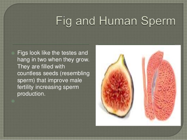 Foods that resemble the body parts they're good A Report 