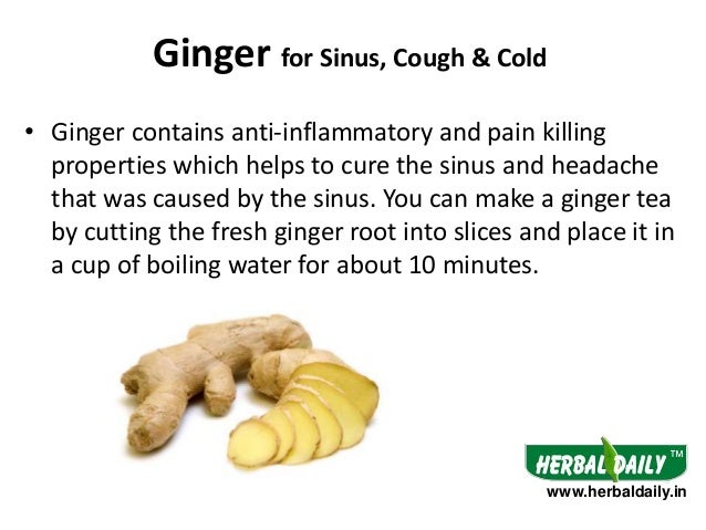 Foods To Eat In Sinus Cough Cold In Hindi Iस इनस कफ और क ल ड म क
