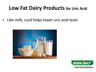 Low Fat Dairy Products for Uric Acid
• Like milk, curd helps lower uric acid level.
www.herbaldaily.in
 
