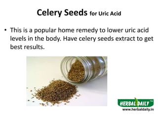Celery Seeds for Uric Acid
• This is a popular home remedy to lower uric acid
levels in the body. Have celery seeds extrac...