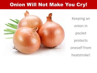 Onion Will Not Make You Cry!
Keeping an
onion in
pocket
protects
oneself from
heatstroke!
 