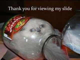 Thank you for viewing my slide
 