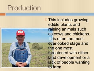 Production
 This includes growing
edible plants and
raising animals such
as cows and chickens.
It is often the most
overlooked stage and
the one most
threatened with either
land development or a
lack of people wanting
to farm
 